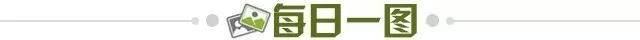 8fcbef58-ce41-461a-9522-9b43d17b0304.jpg@!img01